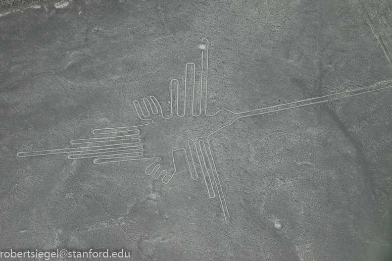 nazca